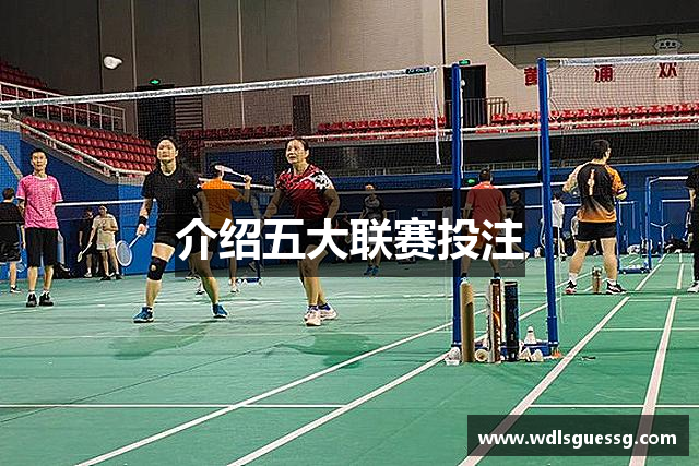 介绍五大联赛投注